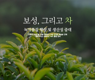 보성차생산자조합 홈페이지제작 리브로소프트