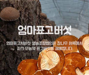 엄마표고버섯 홈페이지제작 리브로소프트