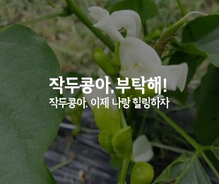 심곡농원 홈페이지제작 리브로소프트