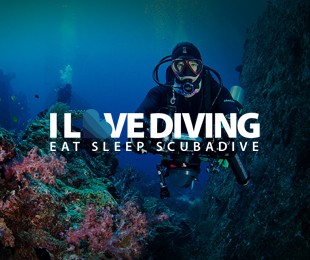 푸켓다이빙 I LOVE DIVING Home - 아이러브다이빙 홈페이지제작 리브로소프트