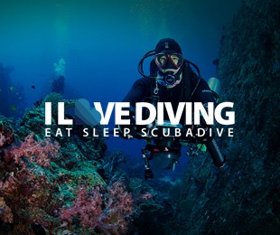 푸켓다이빙 I LOVE DIVING Home - 아이러브다이빙 홈페이지제작 리브로소프트