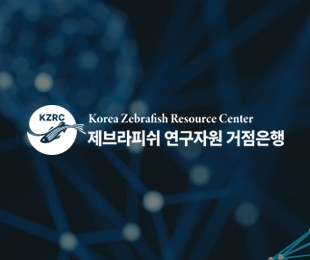 제브라피쉬 연구자원 거점은행 홈페이지제작 리브로소프트